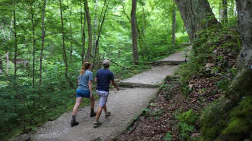 Two people walk along a gravel path through a lush green forest.