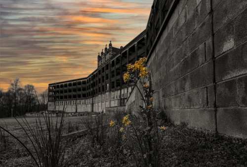 A solitary yellow flower grows beside a weathered wall, with a historic building and colorful sunset in the background.