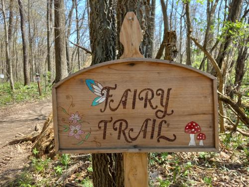 Wooden sign reading "Fairy Trail" with decorative flowers and mushrooms, set in a wooded area.