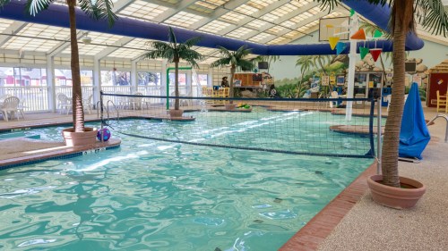 Indoor swimming pool with palm trees, a volleyball net, and colorful decorations under a glass roof.