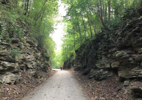 A narrow trail surrounded by tall, rocky cliffs and lush green trees, with a person walking in the distance.