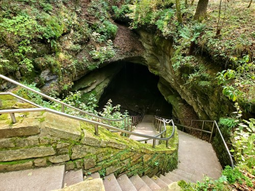 A stone staircase leads down into a dark cave entrance, surrounded by lush greenery and moss-covered rocks.