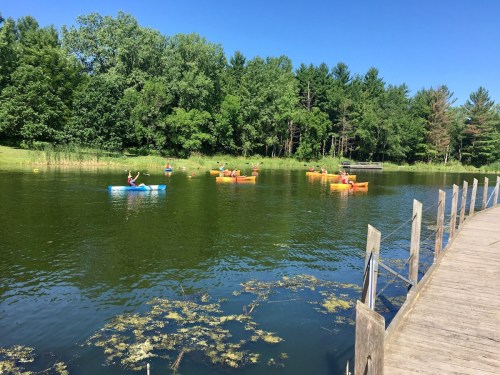 People kayaking on a calm lake surrounded by lush green trees under a clear blue sky.