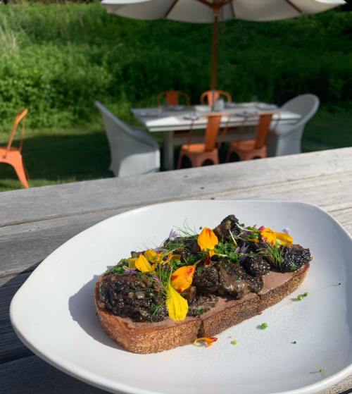 A plate of gourmet toast topped with mushrooms and edible flowers, set outdoors with a dining area in the background.