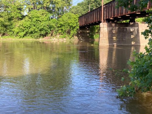 A calm river reflects greenery and a bridge overhead, surrounded by trees on a sunny day.