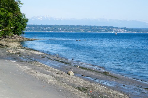 A serene beach scene with a sandy shore, calm blue water, and distant mountains under a clear sky.