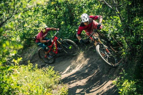 Two mountain bikers navigate a curved dirt trail surrounded by lush greenery on a sunny day.