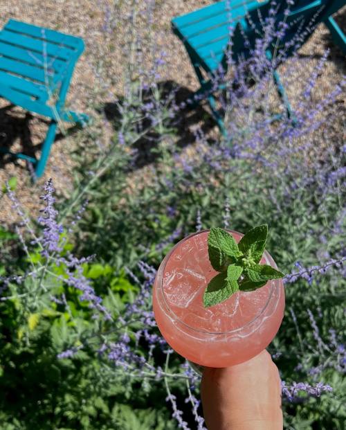 A refreshing pink cocktail garnished with mint, set against a backdrop of purple flowers and teal chairs.