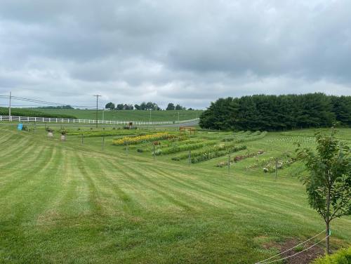 A lush green landscape with neatly mowed grass, flower beds, and trees under a cloudy sky.