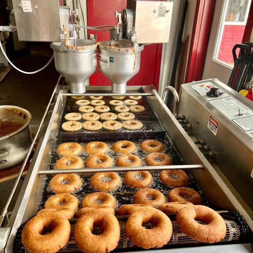 Freshly fried donuts cooling on a rack, with a donut fryer in the background.