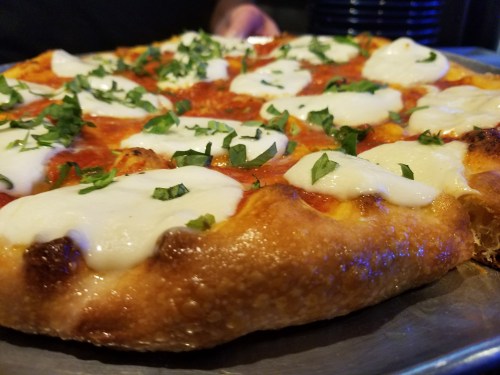 A close-up of a freshly baked pizza topped with mozzarella cheese and fresh herbs on a metal tray.
