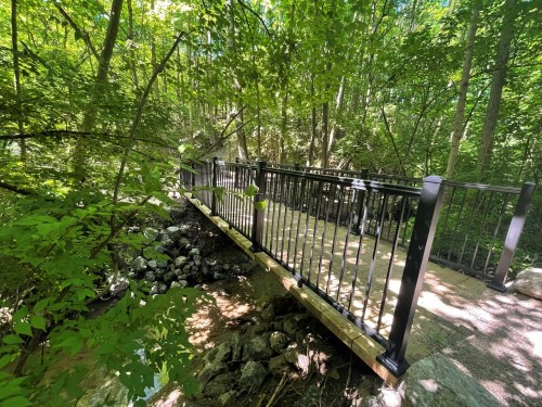 A wooden bridge with black railings spans a small creek, surrounded by lush green trees and foliage.