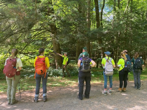 A group of hikers in bright shirts listens to a guide in a forested area, surrounded by trees and greenery.