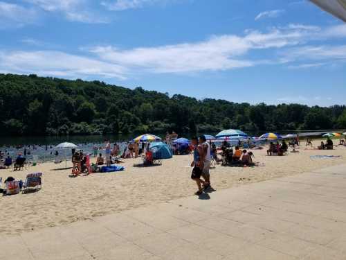 A sunny beach scene with people relaxing under umbrellas by the water, surrounded by green hills and blue skies.