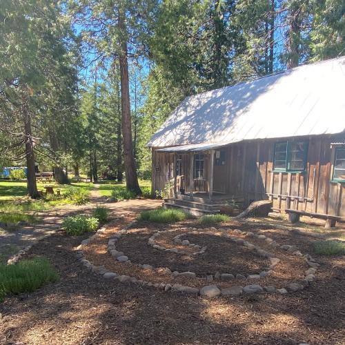 A rustic cabin surrounded by tall trees and a circular stone path in a serene outdoor setting.