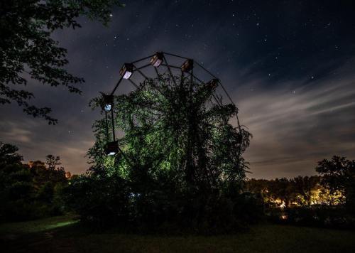 A silhouetted ferris wheel overgrown with vines, set against a starry night sky.