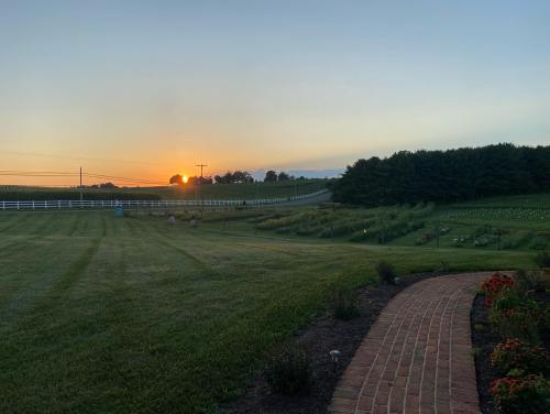 A serene landscape at sunset, featuring a grassy field, a winding brick path, and trees in the distance.