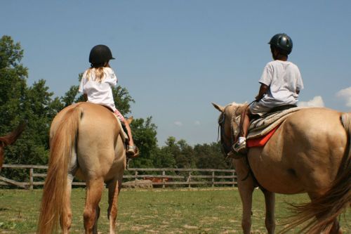 Two children on horseback, wearing helmets, facing away in a sunny outdoor setting with trees in the background.