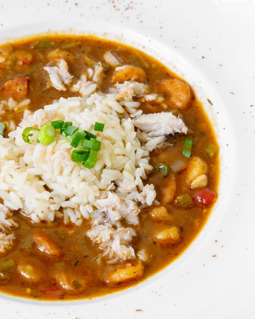 A bowl of flavorful stew with shredded chicken, beans, and rice, garnished with green onions.