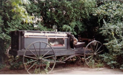 An old horse-drawn carriage partially hidden by lush greenery.