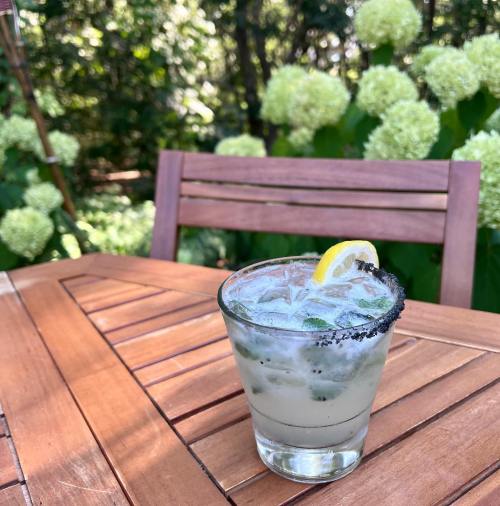 A refreshing cocktail with a lemon slice and black salt rim, placed on a wooden table surrounded by greenery.