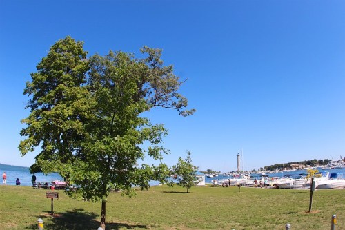 A sunny waterfront scene with boats docked, a green tree, and people enjoying the day by the water.