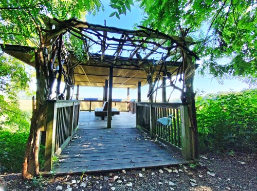 A wooden gazebo surrounded by greenery, featuring a rustic design and a clear sky in the background.
