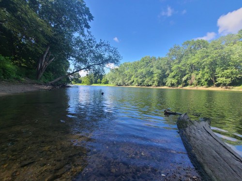A serene river scene with clear water, lush green trees, and a blue sky reflecting on the surface.