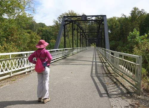 A person in a pink hat stands on a bridge, looking ahead at a tree-lined path under a cloudy sky.