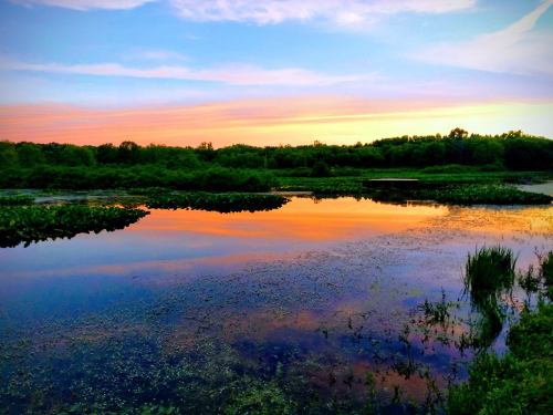 A serene landscape featuring a calm lake reflecting a colorful sunset, surrounded by lush greenery.