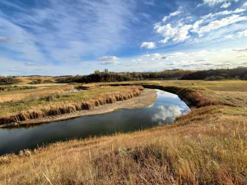 A serene landscape featuring a winding river surrounded by grassy fields and a blue sky with scattered clouds.