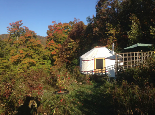 A white yurt surrounded by colorful autumn trees and greenery under a clear blue sky.