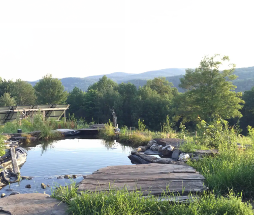 A serene landscape featuring a pond surrounded by lush greenery and distant mountains under a clear sky.