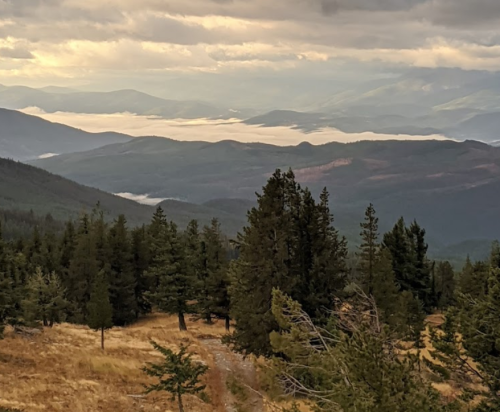 A scenic view of mountains and valleys under a cloudy sky, with trees in the foreground and a misty landscape in the distance.