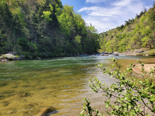 A serene river flows through a lush green landscape, surrounded by trees and rocky banks under a clear blue sky.