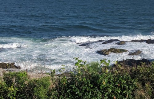 Waves crashing against rocky shore, with greenery in the foreground and a clear blue sky above.
