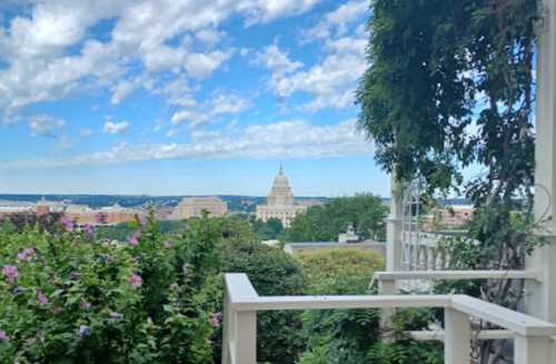 A scenic view of a city skyline with a dome building, framed by greenery and flowers under a partly cloudy sky.