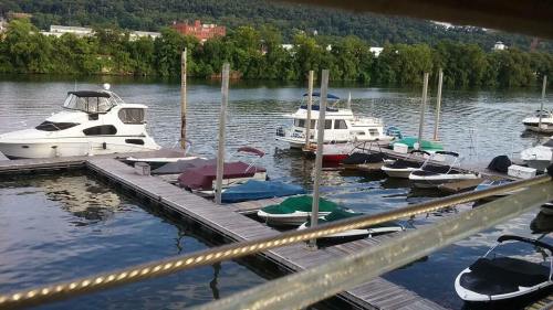 Boats docked at a marina on a calm river, surrounded by green trees and buildings in the background.