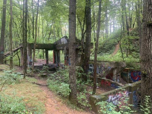 Abandoned structure in a forest, covered in graffiti, surrounded by trees and overgrown vegetation.