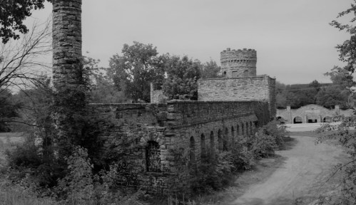 Ruins of a stone building with a tower, surrounded by trees and overgrown vegetation, in a black and white setting.