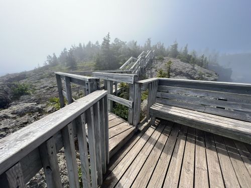 Wooden viewing platform on a foggy hillside, surrounded by trees and rocky terrain.