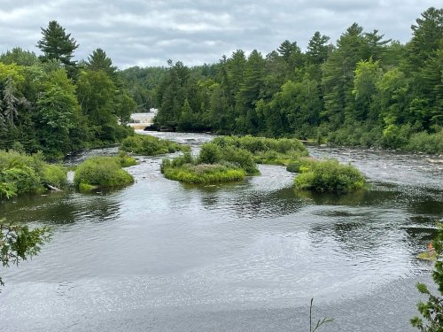 A serene river winding through lush greenery and trees under a cloudy sky.