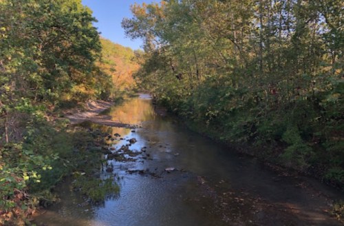 A serene creek surrounded by trees with autumn foliage, reflecting blue sky and sunlight.