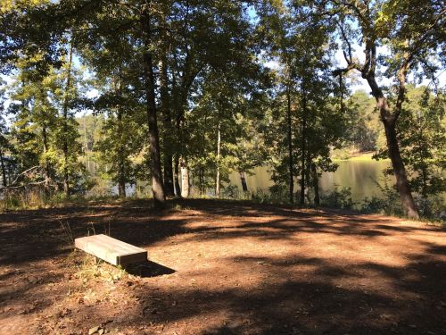 A serene lakeside scene with a wooden bench surrounded by trees and calm water in the background.