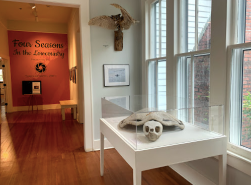 A museum display featuring a turtle shell in a glass case, with an art exhibit titled "Four Seasons in the Lowcountry" in the background.