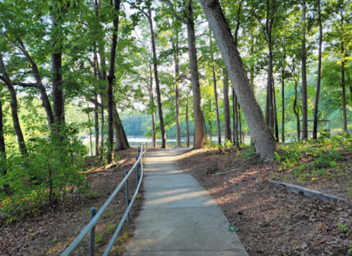A serene pathway winds through a lush green forest, leading towards a calm body of water in the distance.