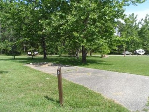 A grassy campsite with a numbered post, surrounded by trees and a gravel parking area.