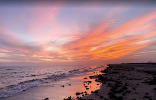 A vibrant sunset over a beach, with colorful clouds reflecting on the water and seaweed along the shore.
