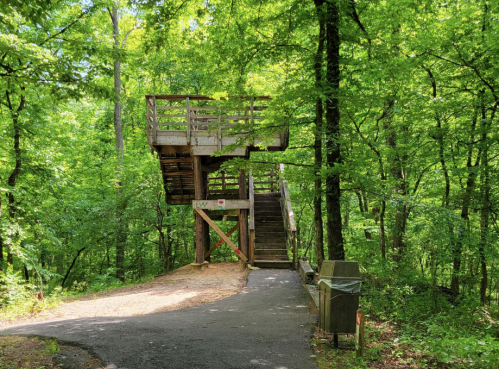 A wooden observation deck surrounded by lush green trees, with a staircase leading up to it.