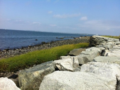 A rocky shoreline with green grass, calm water, and a clear blue sky in the background.